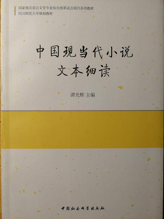 中国现当代小说文本细读