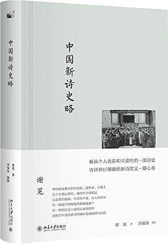 中国新诗史略