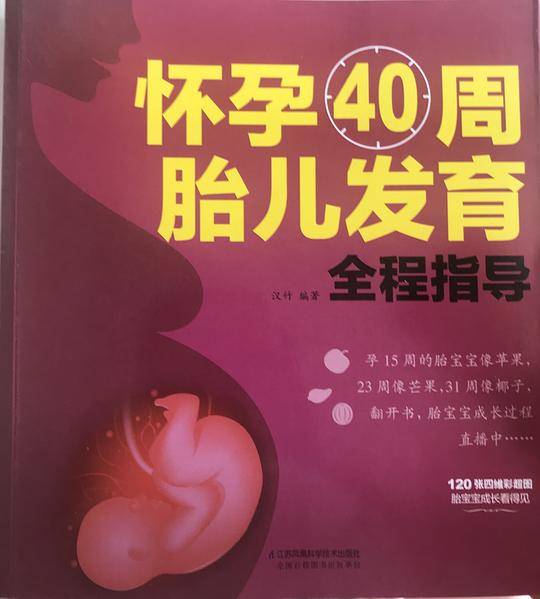 怀孕40周胎儿发育全程指导