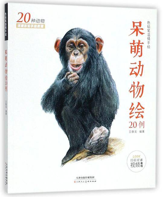 色铅笔温情手绘：呆萌动物绘