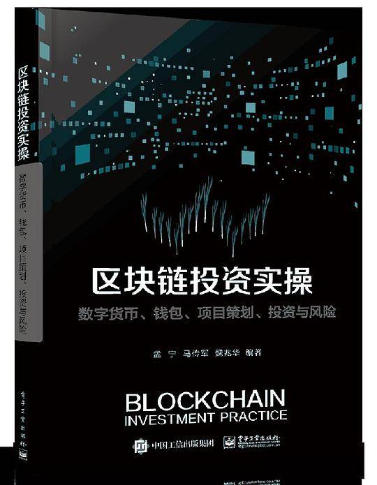 区块链投资实操(数字货币钱包项目策划投资与风险)