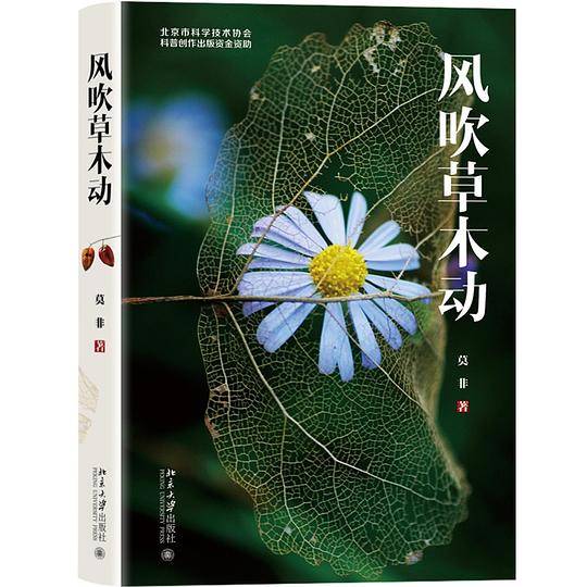 风吹草木动