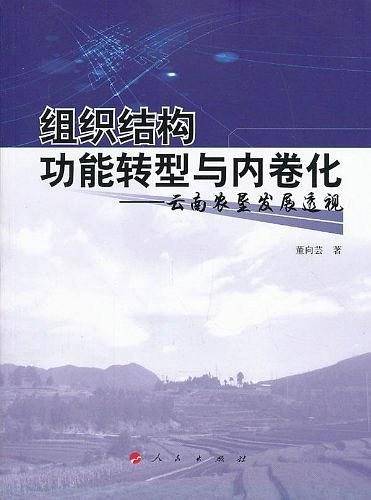 组织结构功能转型与内卷化