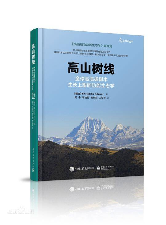 高山树线
