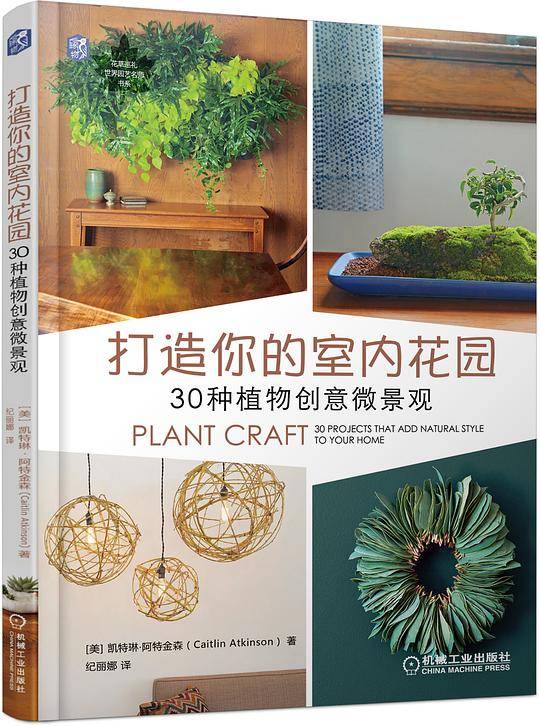 打造你的室内花园：30种植物创意微景观