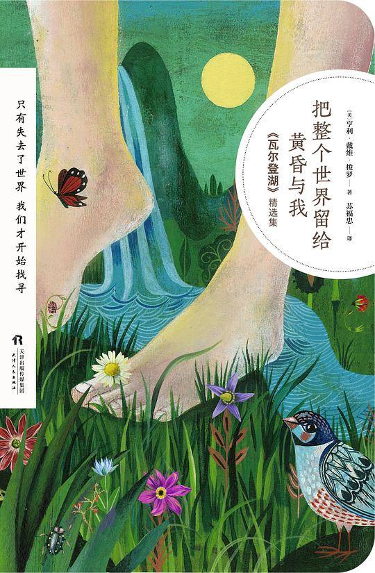 把整个世界留给黄昏与我