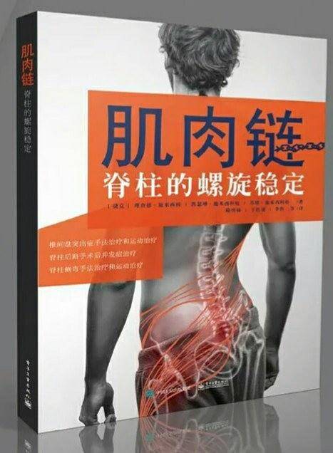 肌肉链