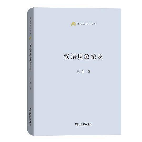 汉语现象论丛