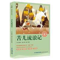 苦儿流浪记