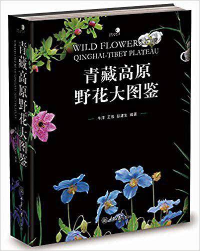 青藏高原野花大图鉴