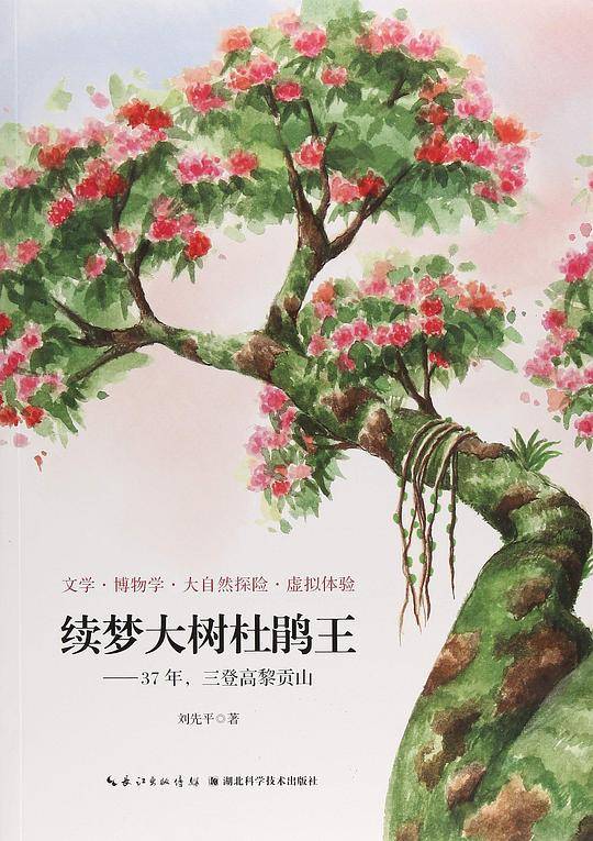 续梦大树杜鹃王