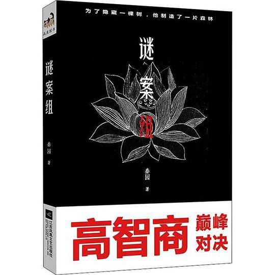 谜案组