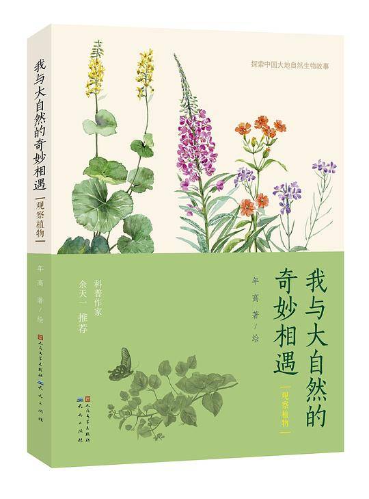 我与大自然的奇妙相遇・观察植物