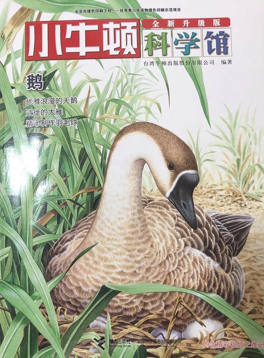 小牛顿科学馆・鹅