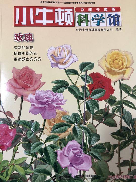 小牛顿科学馆・玫瑰