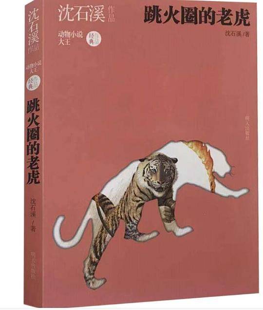 跳火圈的老虎