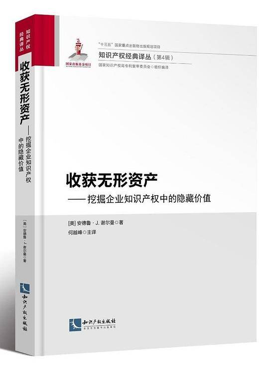 收获无形资产:挖掘企业知识产权中的隐藏价值