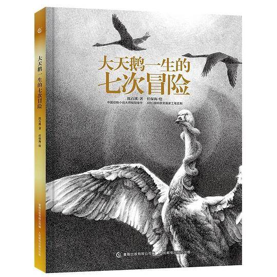 大天鹅一生的七次冒险
