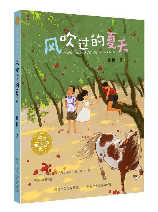 风吹过的夏天