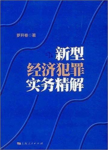 新型经济犯罪实务精解
