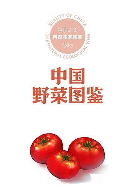 中国野菜图鉴