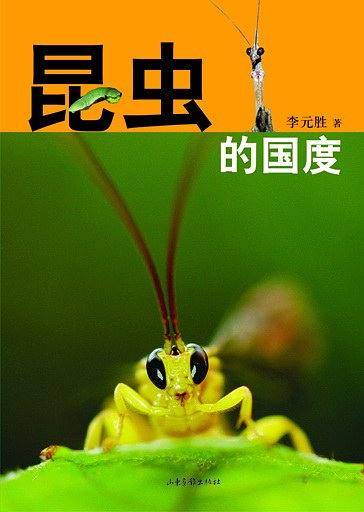 昆虫的国度