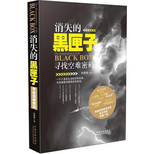 消失的黑匣子：寻找空难密码