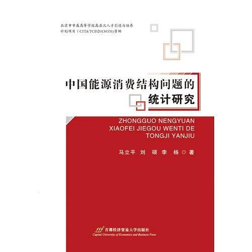 中国能源消费结构问题的统计研究