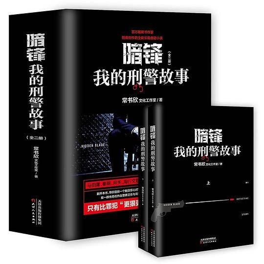 暗锋：我的刑警故事