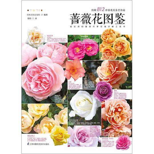 蔷薇花图鉴