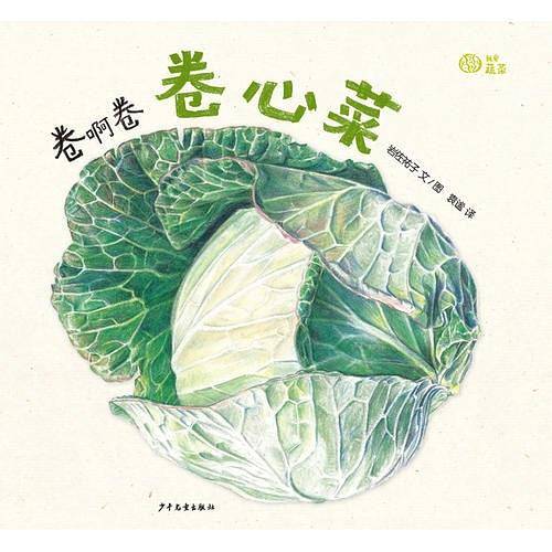 我爱蔬菜系列：卷啊卷 卷心菜
