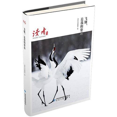 飞翔，是我的姿态