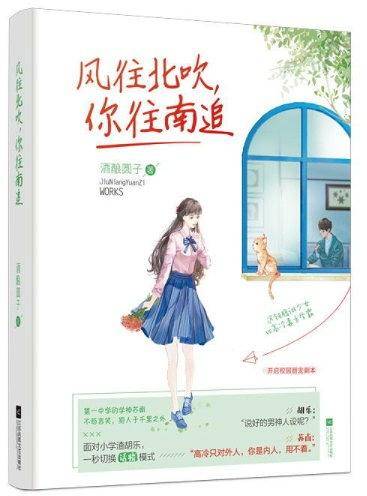 风往北吹，你往南追