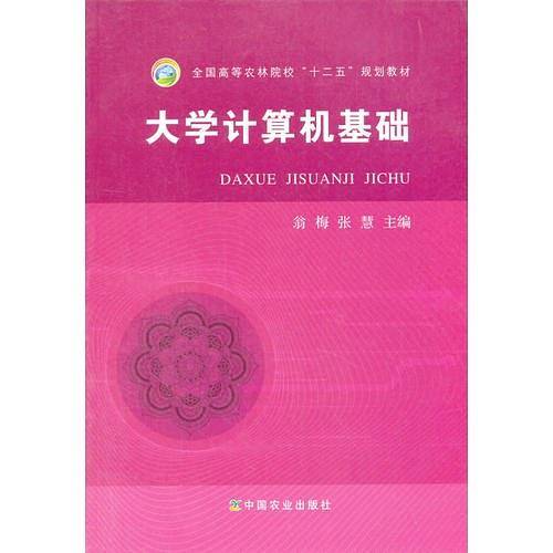 大学计算机基础（翁梅、张慧）
