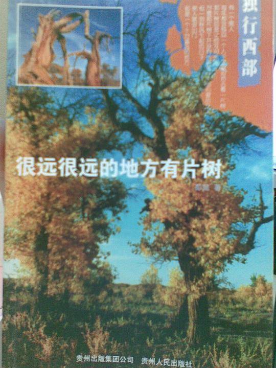 很远的地方有片树