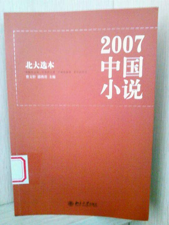 2007中国小说