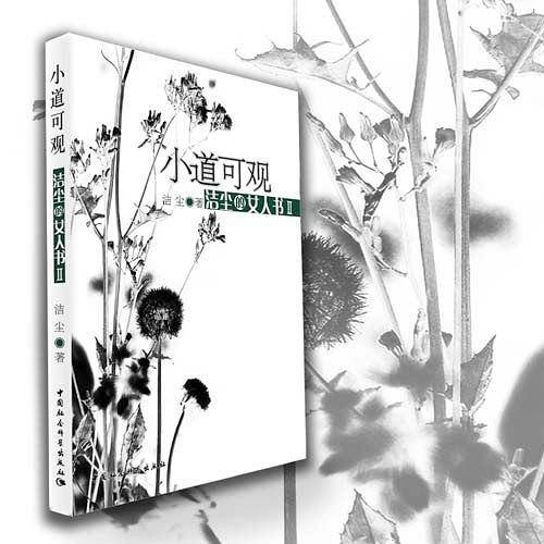 小道可观：洁尘的女人书II