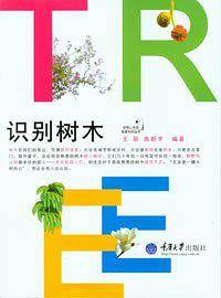 识别树木