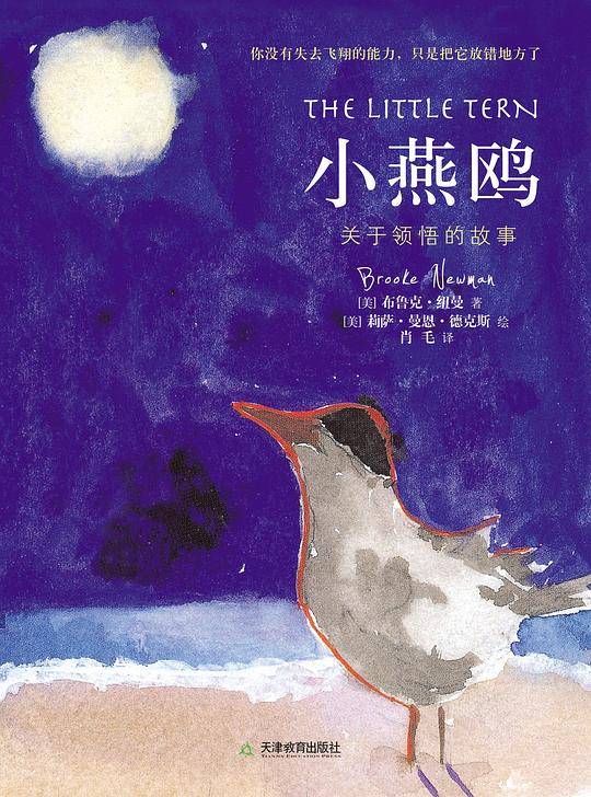 小燕鸥