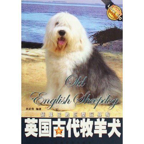 英国古代牧羊犬
