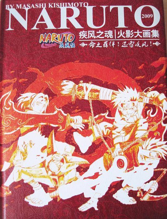 NARUTO疾风之魂