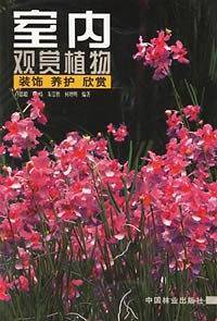室内观赏植物--装饰 养护 欣赏
