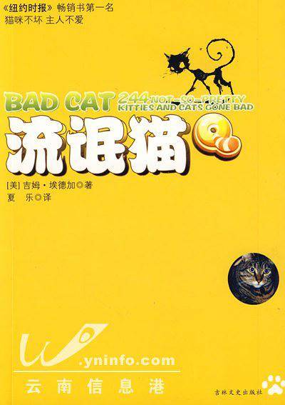 流氓猫:一个另类的猫咪王国