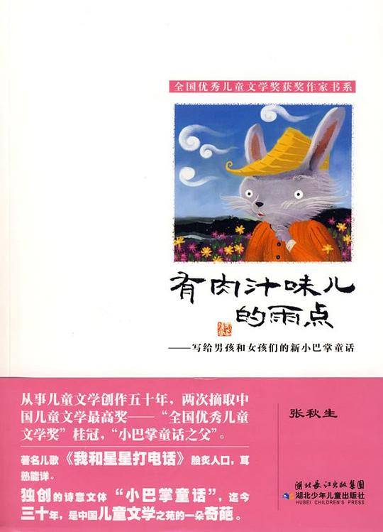 有肉汁味儿的雨点