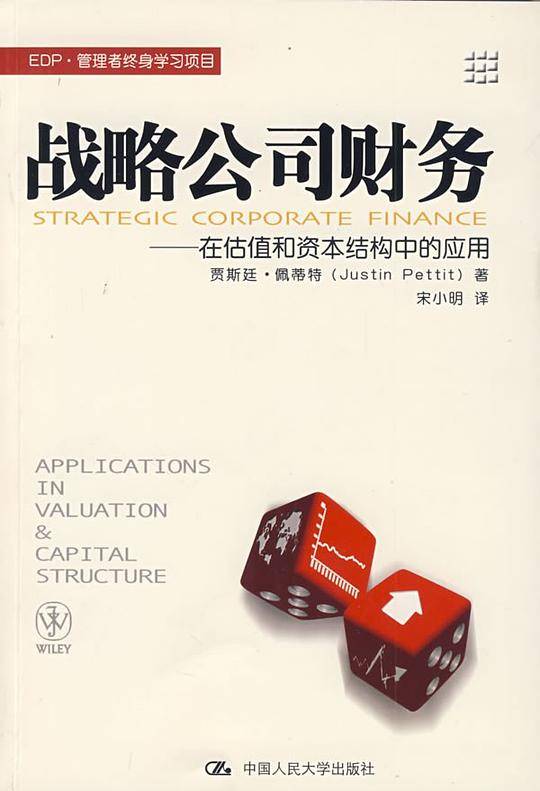 战略公司财务