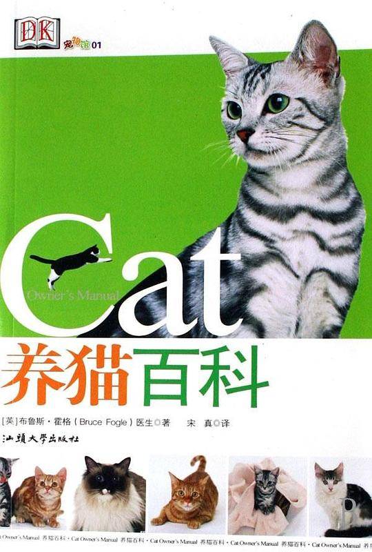 养猫百科