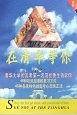 在清华等你