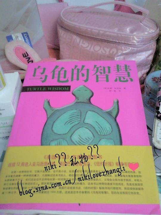 乌龟的智慧