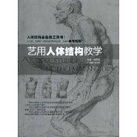 艺用人体结构教学