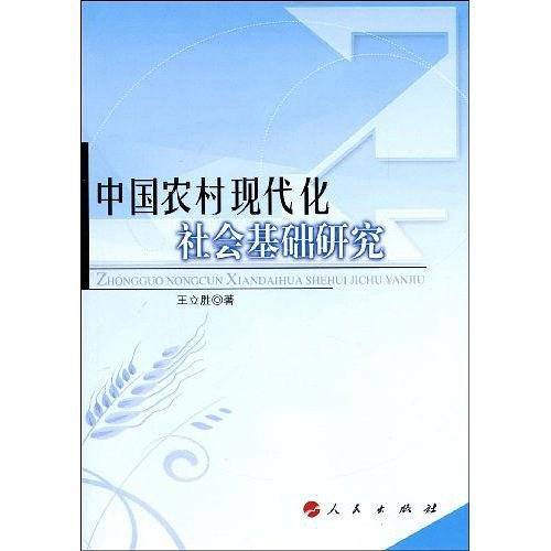 中国农村现代化社会基础研究